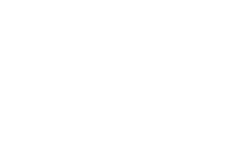 Butler Events • Transportation • Valet